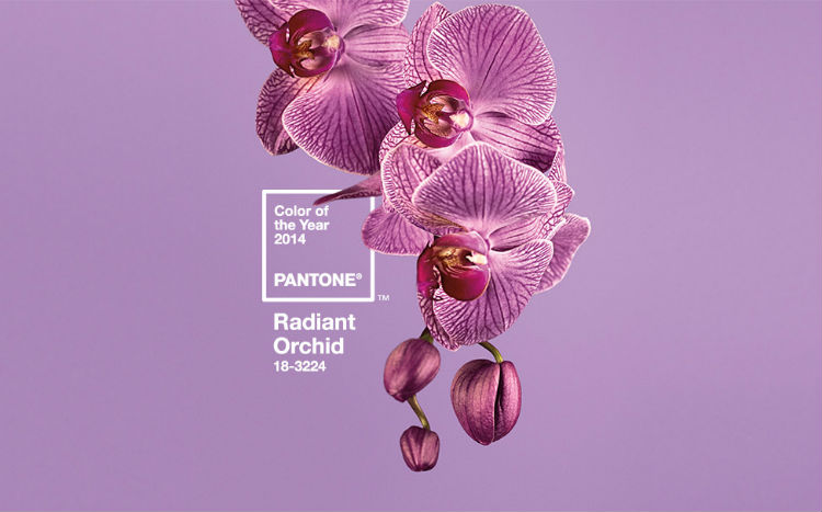 Màu sắc của năm của Pantone 2014