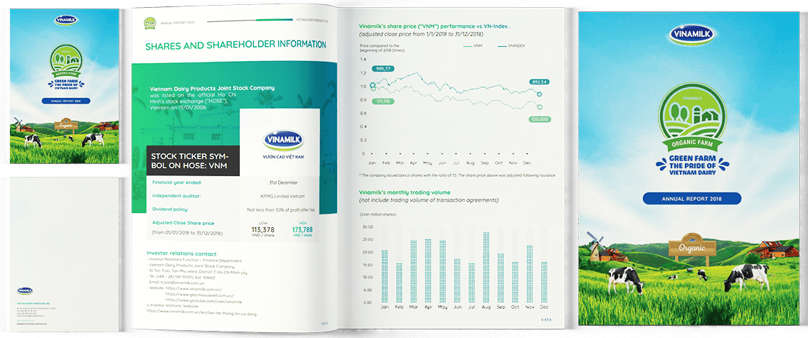 Annual Report Design Agency Vietnam 13