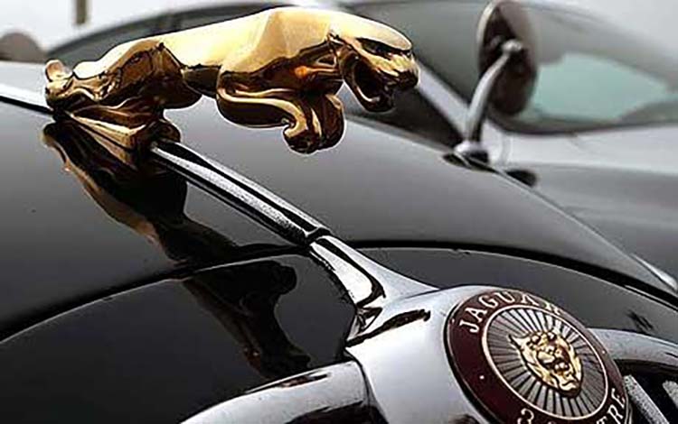 Thiết kế logo của Jaguar.