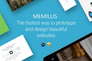 Dịch vụ Thiết kế Website chuyên nghiệp nhất TPHCM - Memilus Agency 1