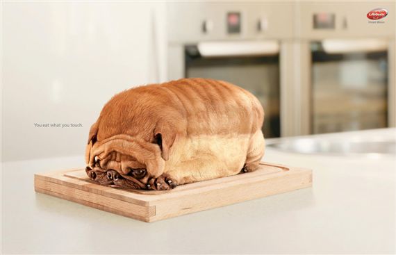 Lifebuoi-dog-most-interesting-and-creative-ads