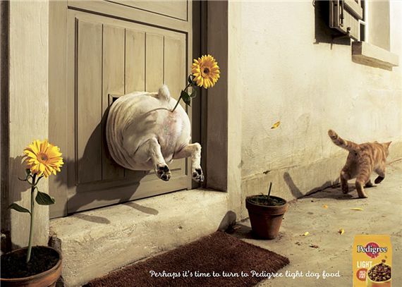 Pedigree-light-most-interesting-and-creative-ads