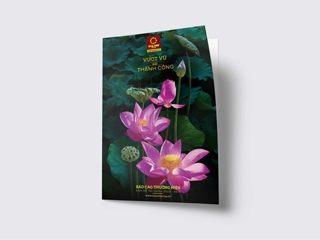 Annual Report Design Agency Vietnam 3