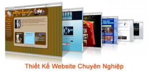 Đã có rất nhiều sự cạnh tranh trên web dành cho giải trí